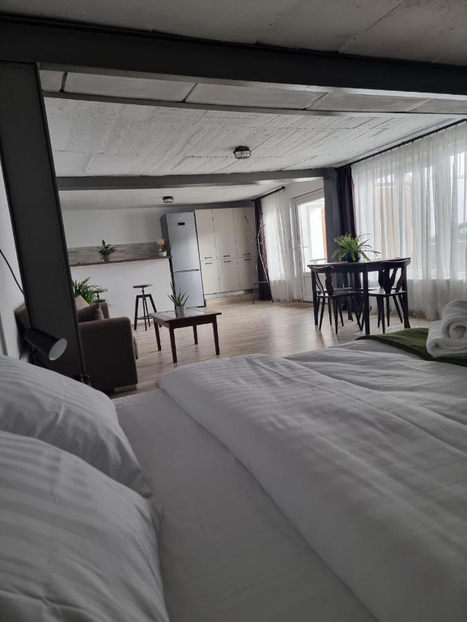 Appartamento The Cozy Bunker Sibiu Esterno foto