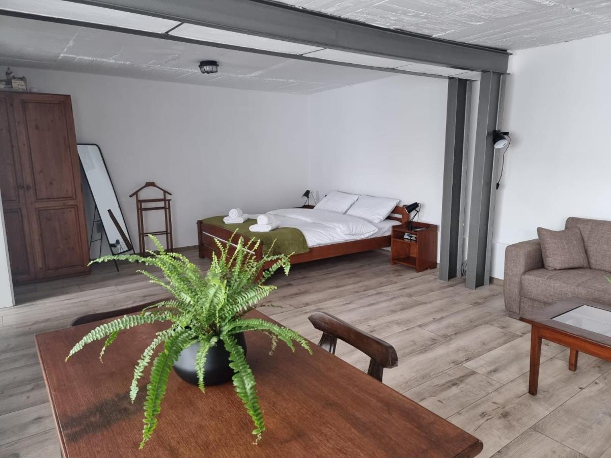 Appartamento The Cozy Bunker Sibiu Esterno foto