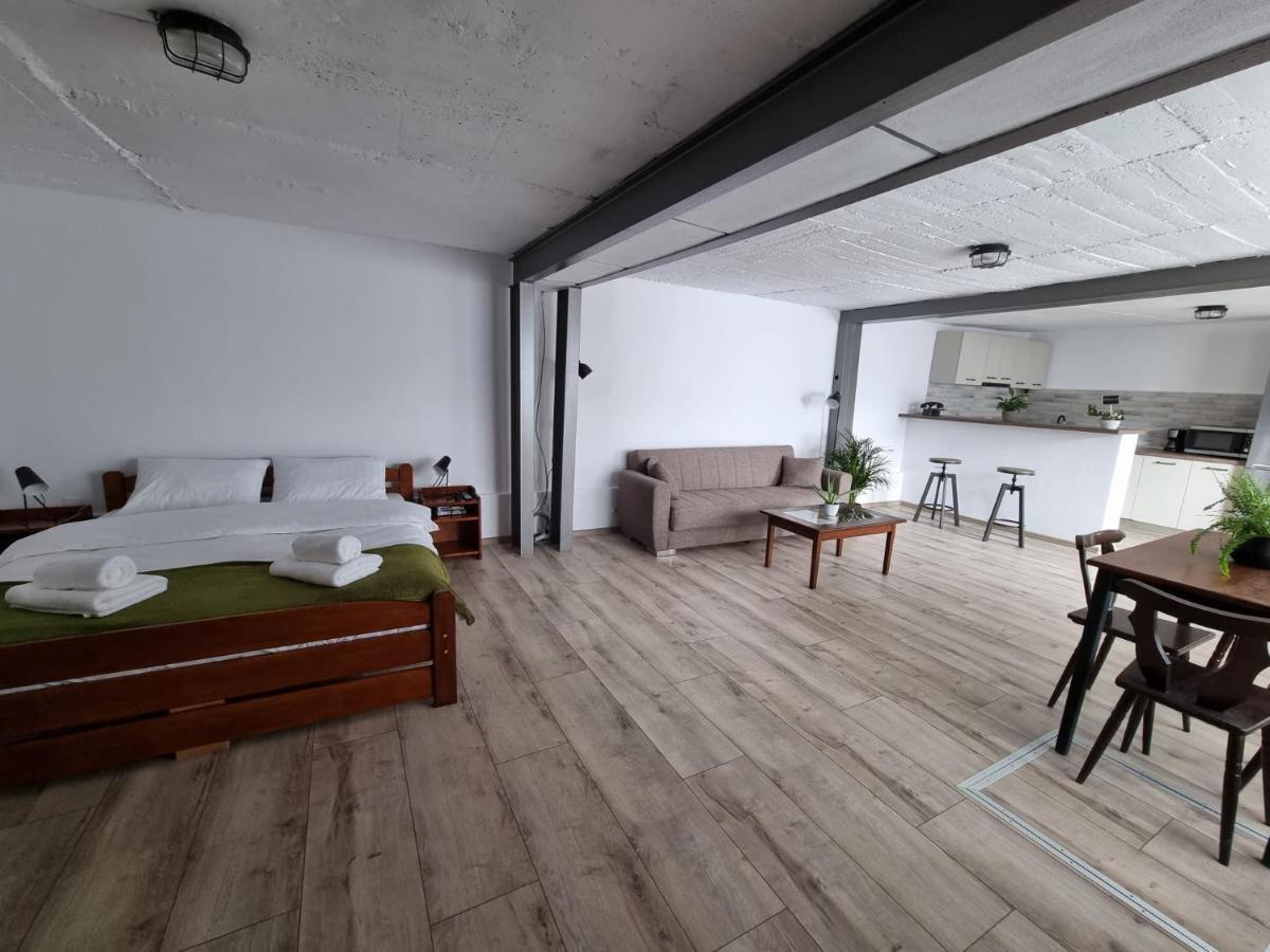 Appartamento The Cozy Bunker Sibiu Esterno foto