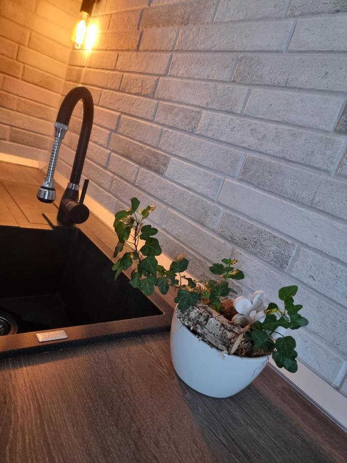 Appartamento The Cozy Bunker Sibiu Esterno foto