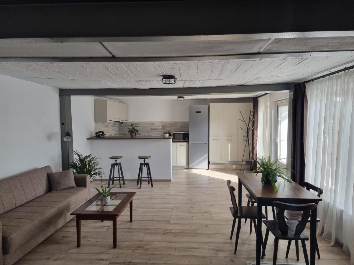 Appartamento The Cozy Bunker Sibiu Esterno foto